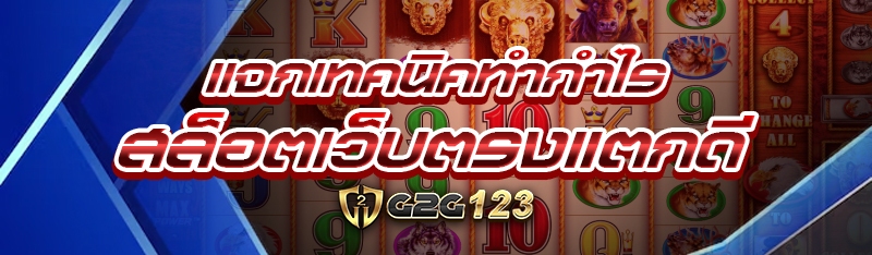 แจกเทคนิคทำกำไร
